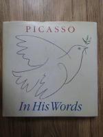 Picasso in his words