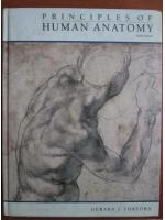 Gerard J. Tortora - Principles of human anatomy (sixth edition)