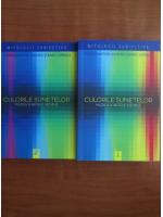 Ioan Big si Radu Lupascu - Culorile sunetelor (2 volume)