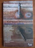 Ciprian Macesaru - Dialoguri in oglinda