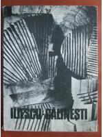 Cornel Radu Constantinescu - Gh. Iliescu-Calinesti