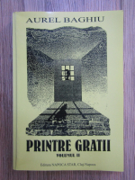 Aurel Baghiu - Printre gratii (volumul 2)