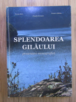 Anticariat: Nicolae Steiu - Splendoarea Gilaului: prezentare monografica