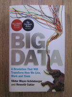 Viktor Mayer Schonberger - Big data. A revolution that will transform how we live, work and think