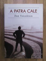 Anticariat: Dan Voiculescu - A patra cale