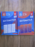 Maria Zaharia, Dan Zaharia - Matematica: algebra, geometrie, clasa a VI-a (2 volume)