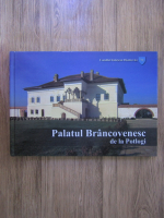Anticariat: Palatul Brancovenesc de la Potlogi