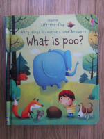 Anticariat: What is poo? Lift-the-flap, very first questions and answers