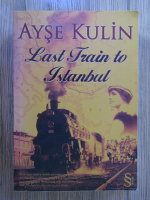 Anticariat: Ayse Kulin - Last train to Istanbul
