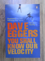 Dave Eggers - You shall know our velocity