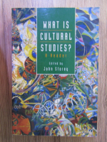 Anticariat: John Storey - What is cultural studies?
