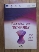 Mircea Ivan, Teodor Stihi - Matematica prin 