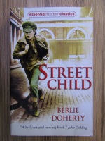 Anticariat: Berlie Doherty - Street child