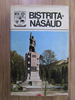 Anticariat: Bistrita-Nasaud. Monografie. Judetele patriei