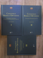 Canoanele Bisericii Ortodoxe (3 volume)