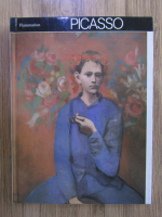 Denys Chevalier - Picasso: epoques bleue et rose