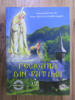 Anticariat: Ioan Suciu, Cristian Florin Sabau - Fecioara din Fatima