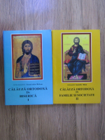 Anticariat: Ionichie Balan - Calauza ortodoxa in biserica, Calauza ortodoxa in familie si societate (2 volume)