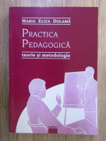 Maria Eliza Dulama - Practica pedagogica. Teorie si metodologie