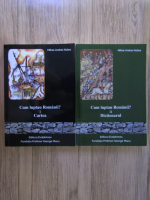 Mihai Andrei Aldea - Cum luptau Romanii? Cartea + Dictionarul (2 volume)