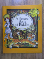 A picture-book of riddles