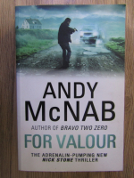 Anticariat: Andy McNab - For valour