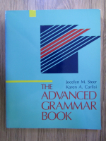 Anticariat: Jocelyn M. Steer, Karen A. Carlisi - The advanced grammar book