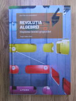 Jorge Calero Sanz - Revolutia algebrei. Nasterea teoriei grupurilor