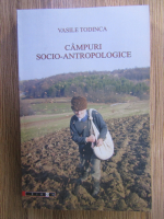 Vasile Todinca - Campuri socio-antropologice