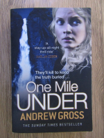 Andrew Gross - One mile under