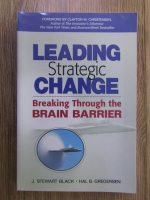 J. Stewart Black - Leading strategic change