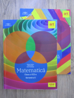 Marius Perianu - Matematica, clasa a VIII-a, semestrul I si II (2 volume)