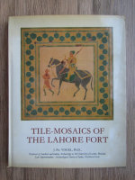 Tile-Mosaics of the Lahore fort