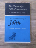 A. R. Hunter - The Gospel according to John