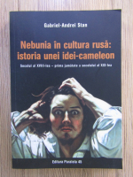 Anticariat: Gabriel Andrei Stan - Nebunia in cultura rusa: istoria unei idei-cameleon