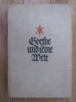 Goethe und feine Welt