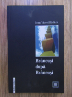 Ioan Viorel Badica - Brancusi dupa Brancusi