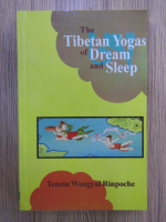Tenzin Wangyal Rinpoche - The tibetan yogas of dream and sleep