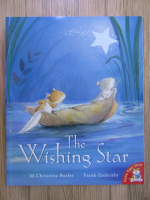 Christina Butler - The wishing star