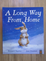 Anticariat: Elizabeth Baguley - A long way from home