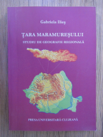 Gabriela Ilies - Tara Maramuresului, studiu de geografie regionala