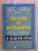Ioan Dancila - Culegere de matematica pentru clasa a V a