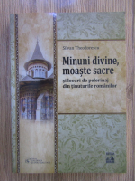 Anticariat: Silvan Theodorescu - Minuni divine, moaste sacre si locuri de pelerinaj din tinuturile romanilor