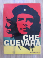 David Sandison - Che Guevara