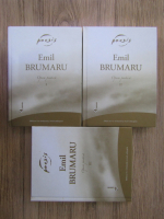 Emil Brumaru - Opera poetica (3 volume)