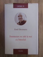 Emil Brumaru - Opere, vol 4. Dumnezeu se uita la noi cu binoclul