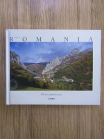 Anticariat: Florin Andreescu - Made in Romania