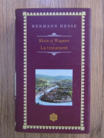 Hermann Hesse - Klein si Wagner. La tratament