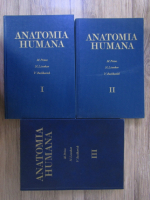 Anticariat: M. Prives - Anatomia Humana (3 volume)