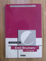 Rodica Ilie - Emil Brumaru, monografie